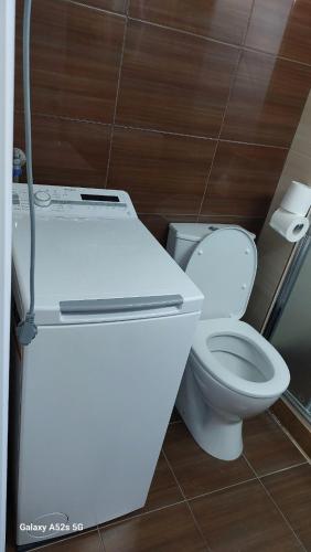 842147837
